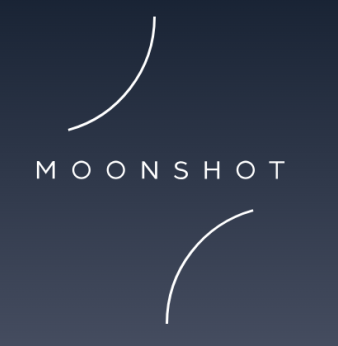 Moonshot MISP AG HFWM SA Konkursverfahren, Moonshot MISP AG HFWM SA Bankruptcy Liquidation, LeBijou, www.moonshot.ch